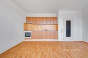 Světlé 1+kk s výhledem do zeleně, cena 15500 CZK / objekt / měsíc, nabízí CENTURY 21 Birdie Reality