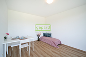 Pronájem, Byt 1+kk, Praha 3, cena 16000 CZK / objekt / měsíc, nabízí GEPARD REALITY