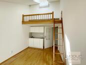 Pronájem bytu 1+kk, 28 m2, Praha 8 - Karlín, nezařízený, videofon, Vítkov, MHD, Kaizlovy sady, cena 13999 CZK / objekt / měsíc, nabízí Modus Reality