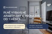 Pronájem bytu 1+1 43 m, Praha - Žižkov, cena 23500 CZK / objekt / měsíc, nabízí Blueground