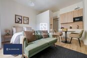 Pronájem byty 1+kk, 30 m - Praha - Bubeneč, cena 24000 CZK / objekt / měsíc, nabízí Blueground