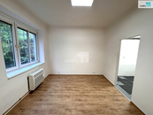 Pronájem, Byt 2+kk, Praha 3, cena 16000 CZK / objekt / měsíc, nabízí REAL ESTATE CZECH REPUBLIC a.s.