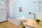Zařízený pokoj k pronájmu ve sdíleném bytu Praha 2 blízko I.P. Pavlova, cena 14500 CZK / objekt / měsíc, nabízí 