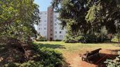 Pronájem bytu 2+1 s balkonem a sklepem, Praha 6 - Vokovice, cena 22000 CZK / objekt / měsíc, nabízí RK Reality JJ