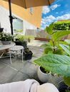 Prodej bytu 1+kk se zahrádkou, novostavba, Praha 8 Trója, cena 6399000 CZK / objekt, nabízí 