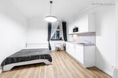 Pronájem bytu 1+kk, (26m2) Petrské náměstí, Praha 1 - Nové Město, cena 22000 CZK / objekt / měsíc, nabízí Faraon Reality, s.r.o.