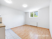 Pronájem bytu 1+kk, Dobrovolného, Černý Most, 15900 Kč/měs, 31 m2, cena 15900 CZK / objekt / měsíc, nabízí Ideální nájemce